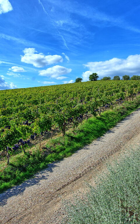 Brunello: Buitenshuis, Keer bekeken