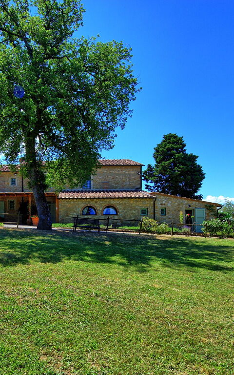 San Donato: Buitenshuis, Tuin