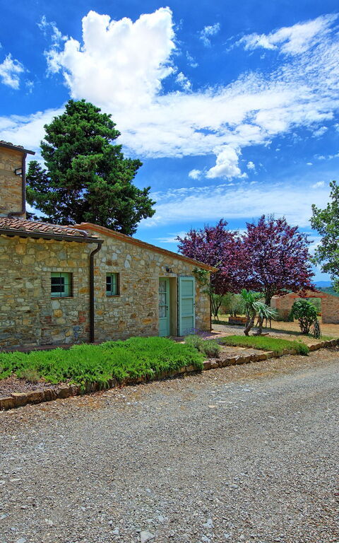 San Donato: Buitenshuis, Tuin