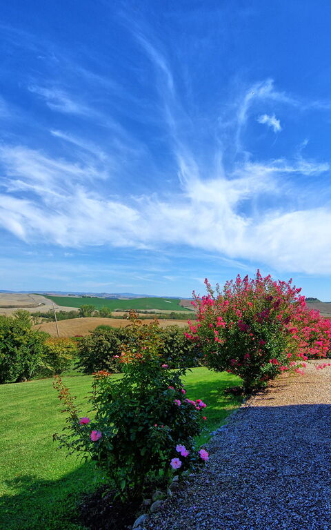 San Donnino: Buitenshuis, Tuin
