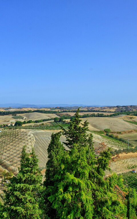 Certaldo: Keer bekeken