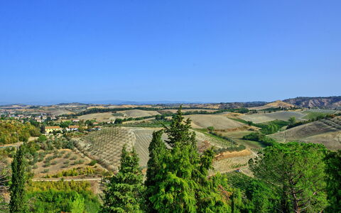 Accommodatie Certaldo 2: Keer bekeken