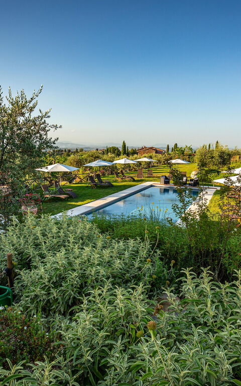 Villa Amadeo: Buitenkanten, Buitenshuis, Keer bekeken, Tuin, zwembad