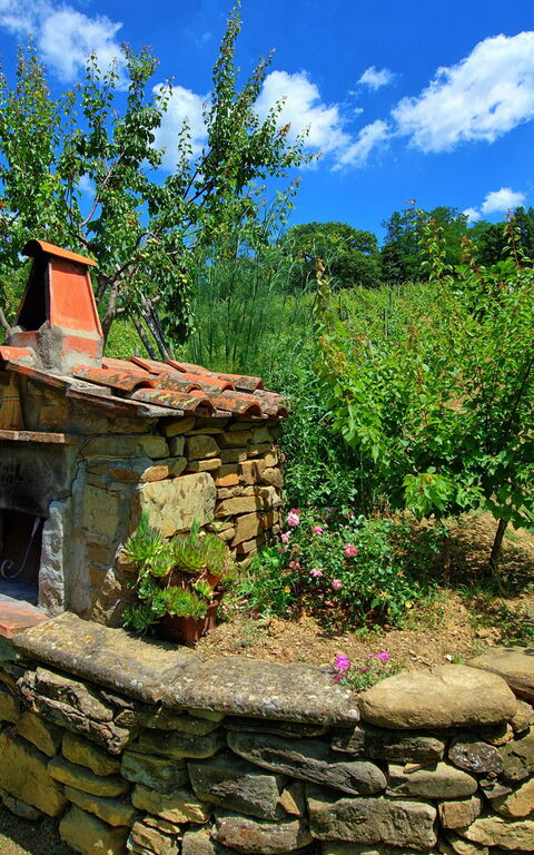 Villa Lo Scoiattolo: Buitenshuis, Tuin