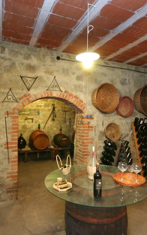 Villa Lo Scoiattolo: Activiteiten