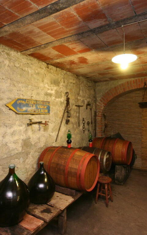 Villa Lo Scoiattolo: Activiteiten