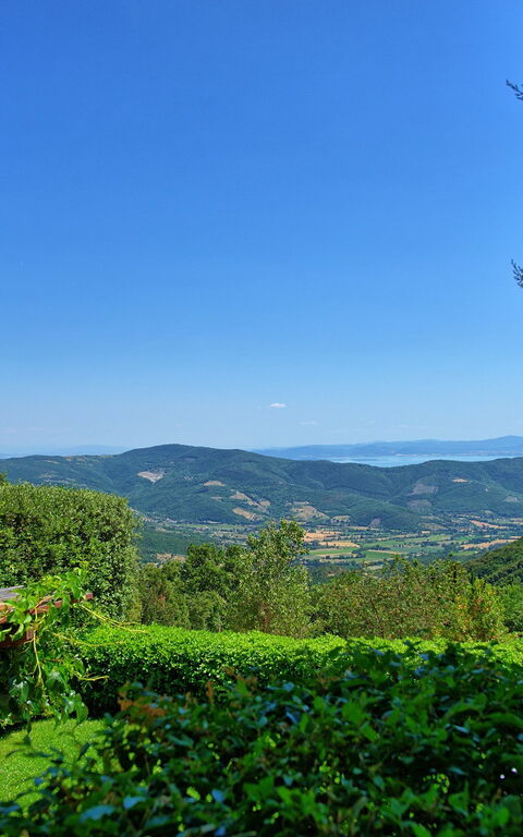 Il Salice: Keer bekeken