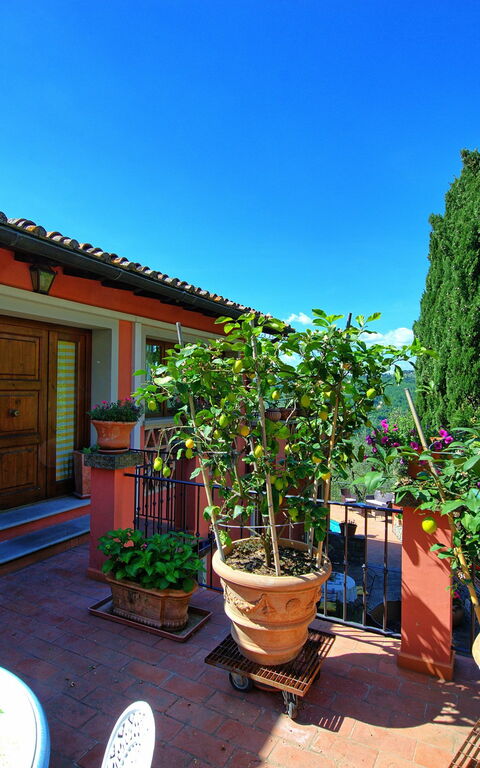 Casa Vania: Buitenshuis, Tuin