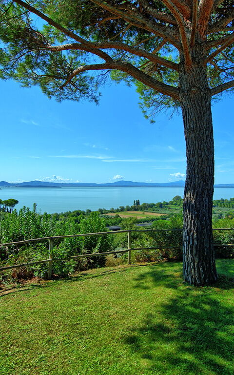 Villa Le Murate: Keer bekeken, Tuin