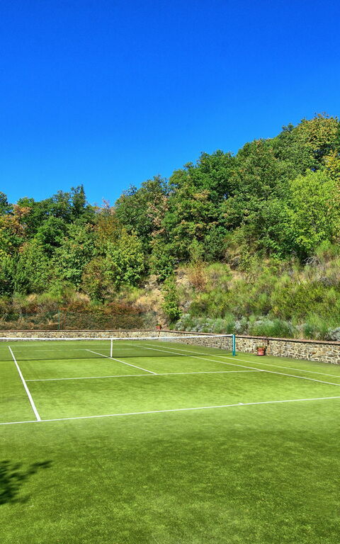 Gellino: Activiteiten