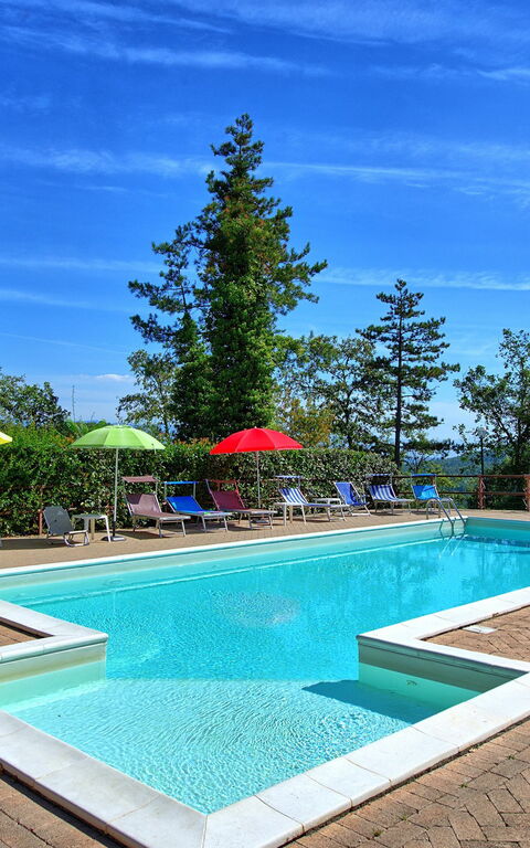 Villa Lorenzo: zwembad