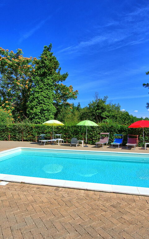 Villa Lorenzo: zwembad