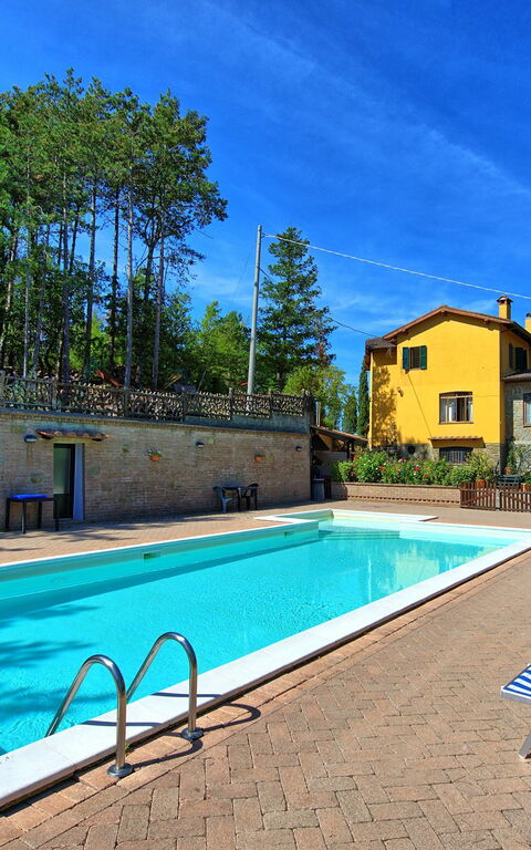 Villa Lorenzo: zwembad