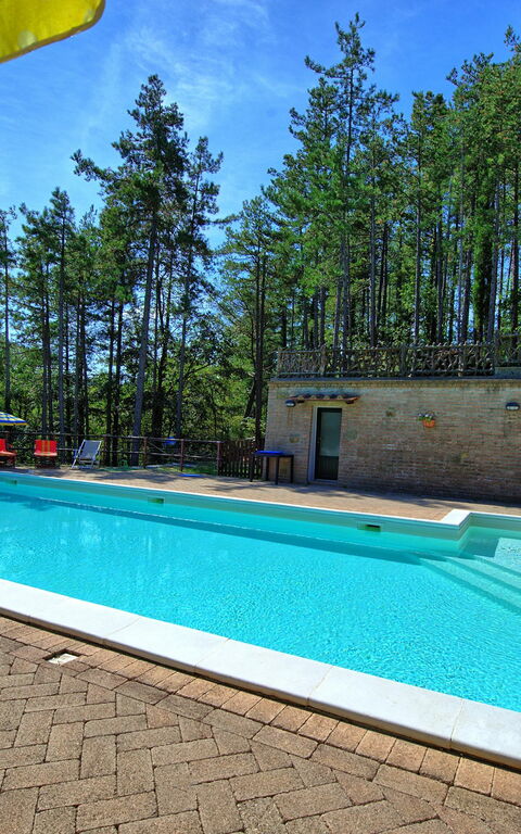 Villa Lorenzo: zwembad