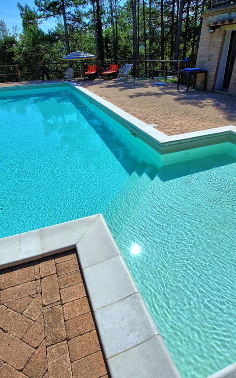 Villa Lorenzo: zwembad