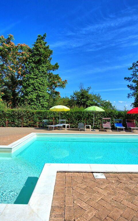 Villa Lorenzo: zwembad