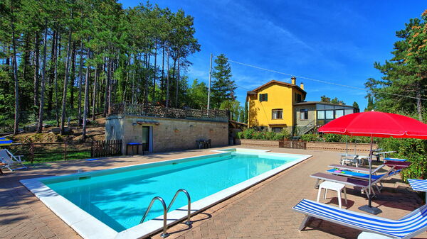 Villa Lorenzo: zwembad