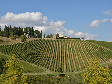 Tenuta