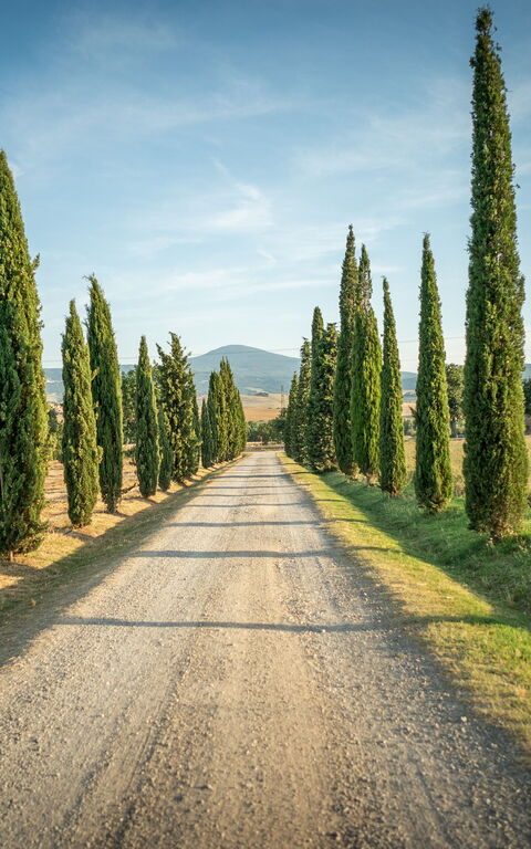 Villa Cassia: Buitenshuis, Keer bekeken