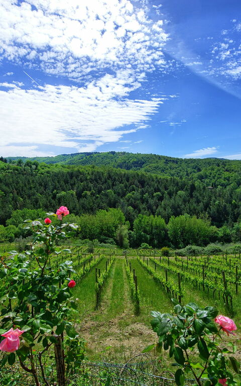 Villa Barbischio: Keer bekeken