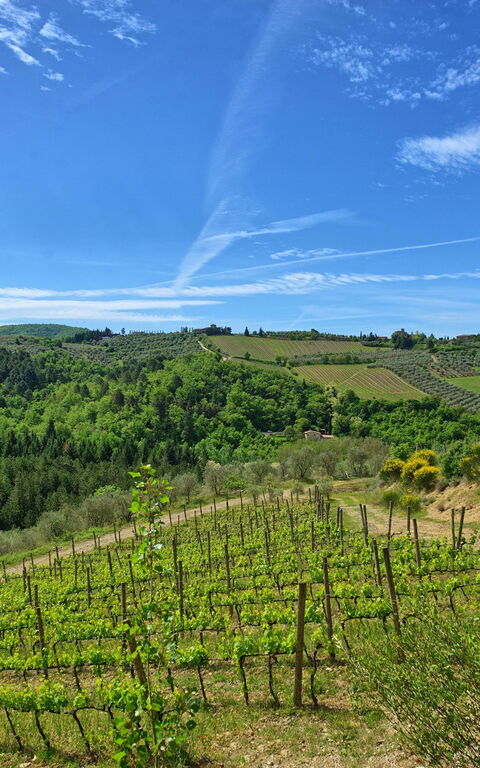 Villa Barbischio: Keer bekeken