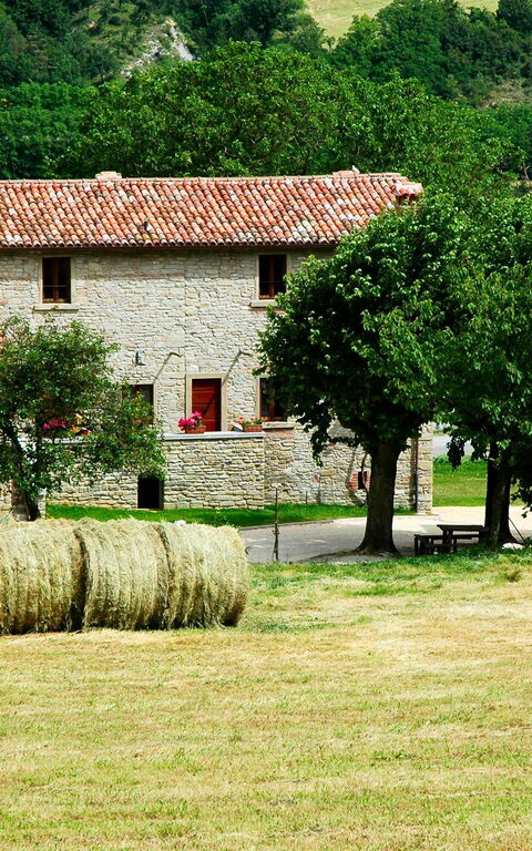 Marradi: Buitenshuis, Keer bekeken