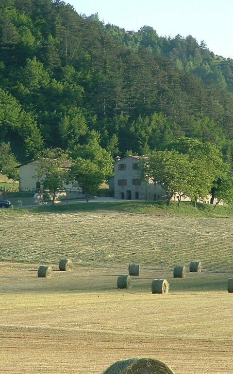 Marradi: Keer bekeken