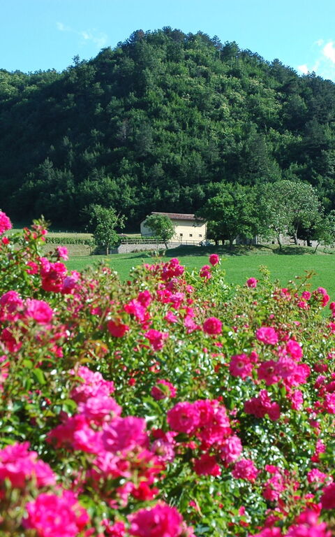 Marradi: Keer bekeken