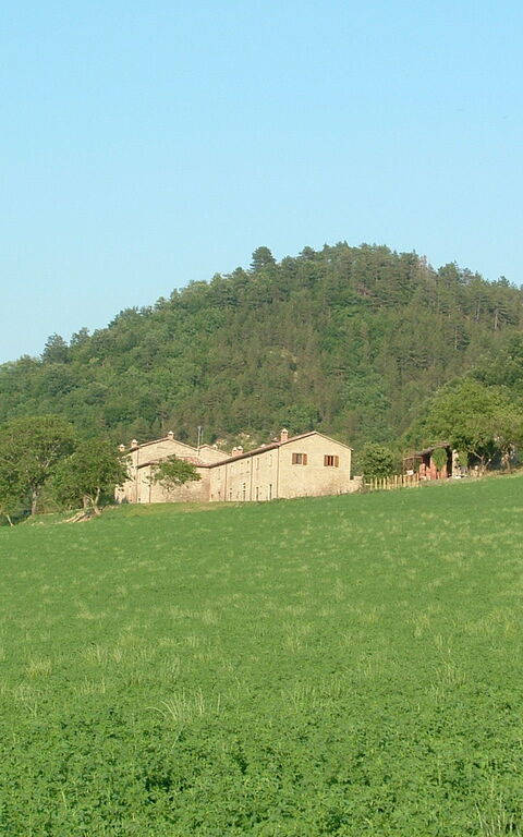 Marradi: Keer bekeken