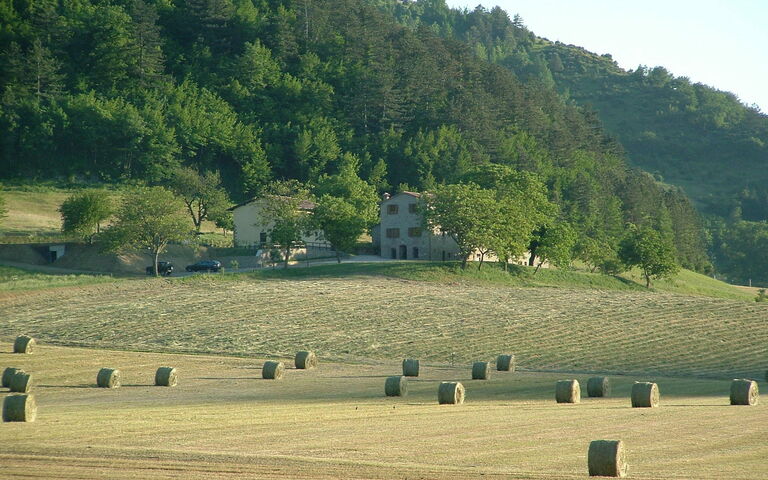 Marradi: Keer bekeken