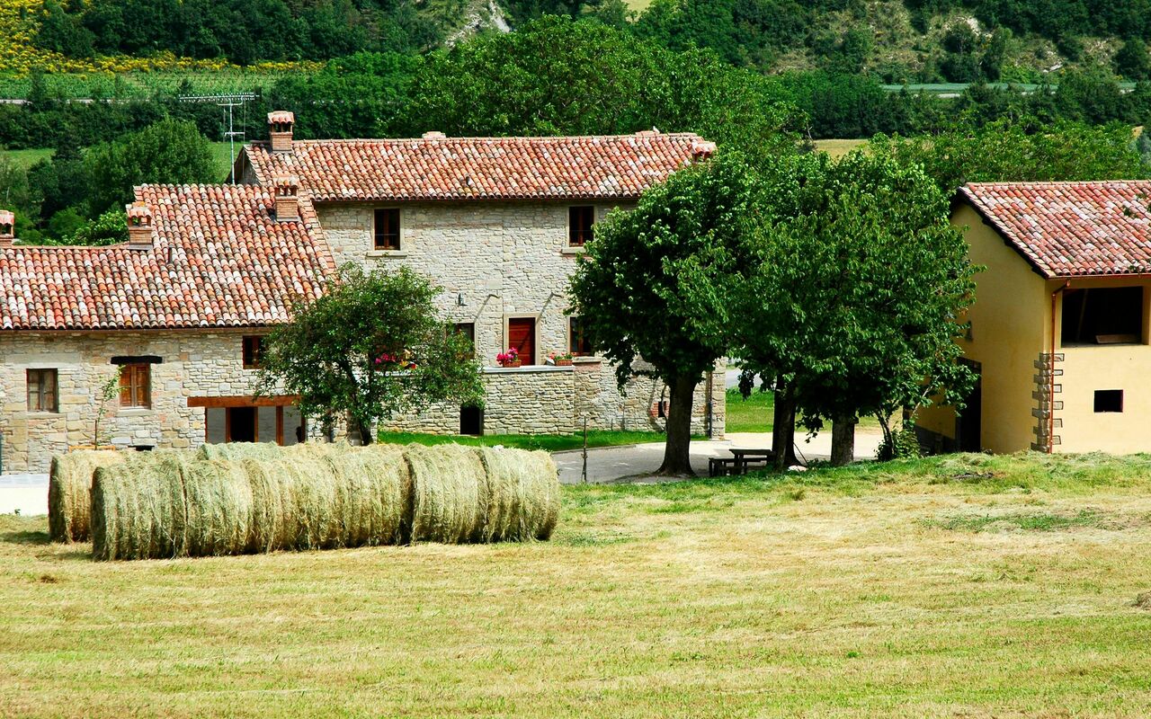 Marradi: Buitenshuis, Keer bekeken