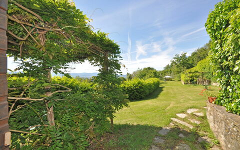 Accommodatie Civetta 2: Tuin