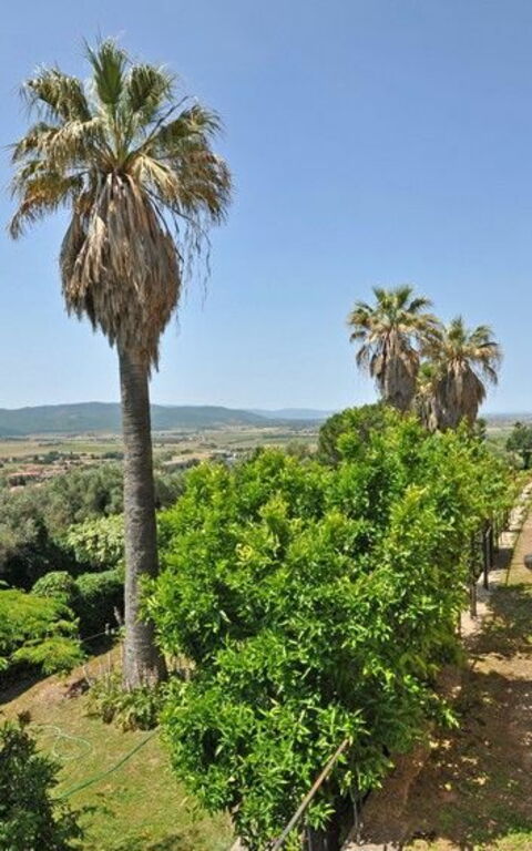 Il Principe: Buitenkanten, Buitenshuis, Tuin