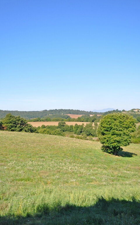 Ginestrella: Buitenshuis, Keer bekeken