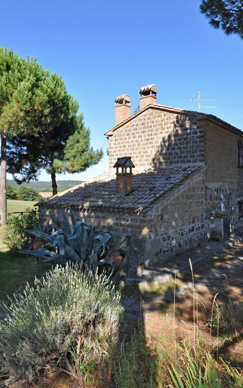 Ginestrella: Buitenkanten, Tuin