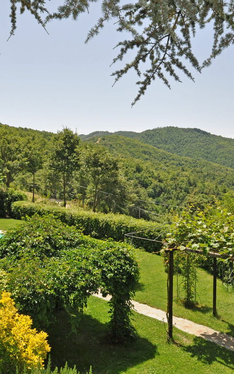 Villa Dame: Tuin, zwembad