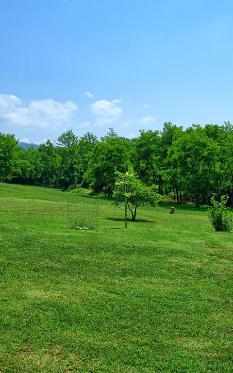 Casa Ovile: Keer bekeken, Tuin