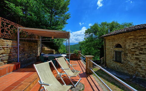 Accommodatie Rondini: Buitenkanten, Tuin