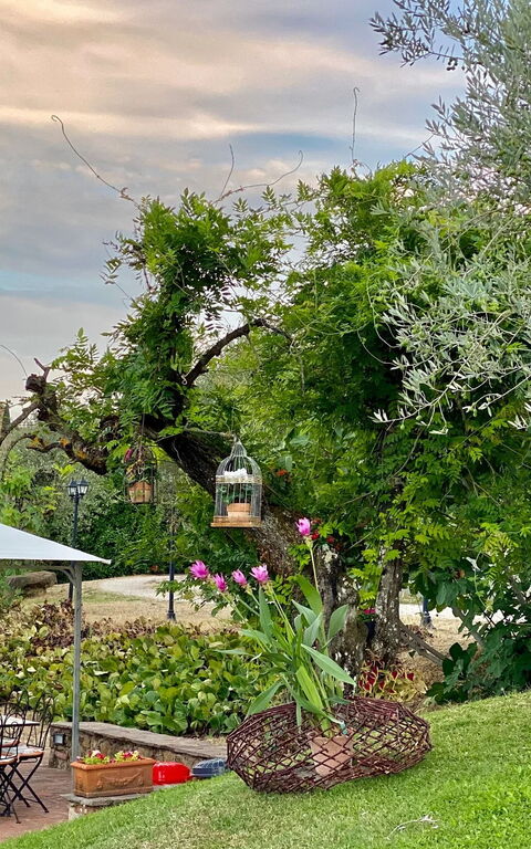 Villa Ulivi: Buitenshuis, Keer bekeken, Tuin