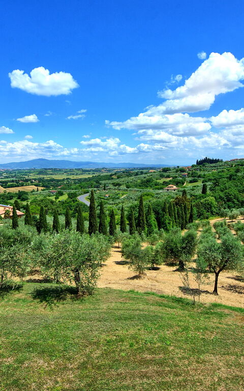 Villa Ulivi: Buitenshuis, Keer bekeken, Zomer