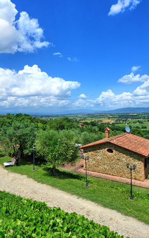 Villa Ulivi: Buitenkanten, Buitenshuis, Keer bekeken, Tuin, Zomer