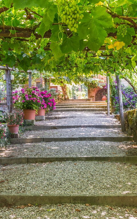 Palazzo Rosadi: Tuin