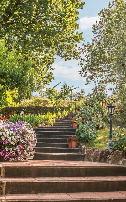 Torre Del Cielo: Tuin