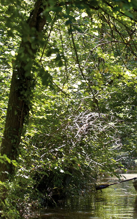 Ca' Marcello: Buitenshuis