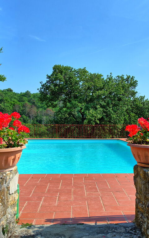 Querciolaia: zwembad