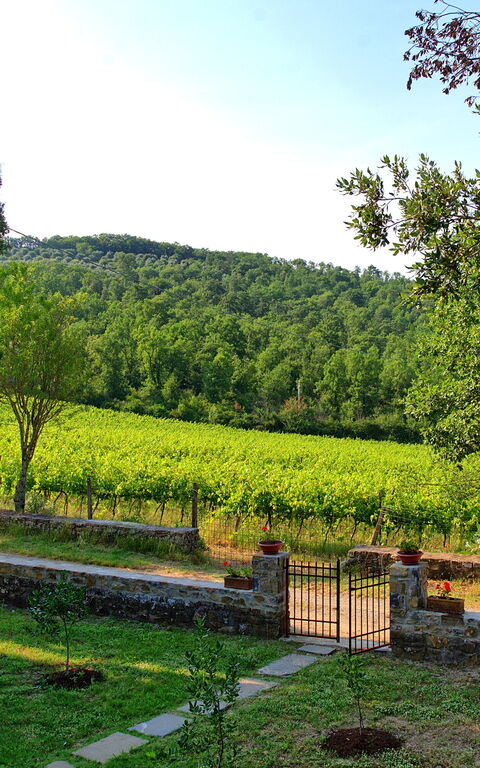 Casavecchia: Keer bekeken