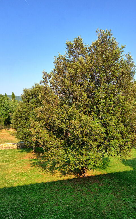 Casavecchia: Keer bekeken