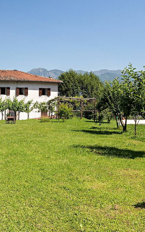 Villa Il Nido: Tuin