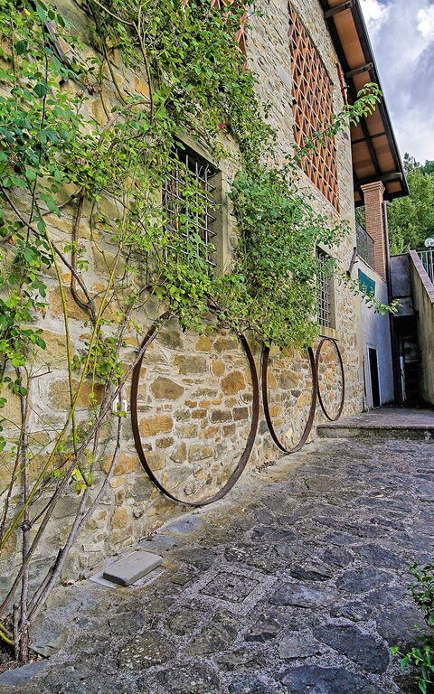 Villa Il Nido: Buitenshuis, Tuin