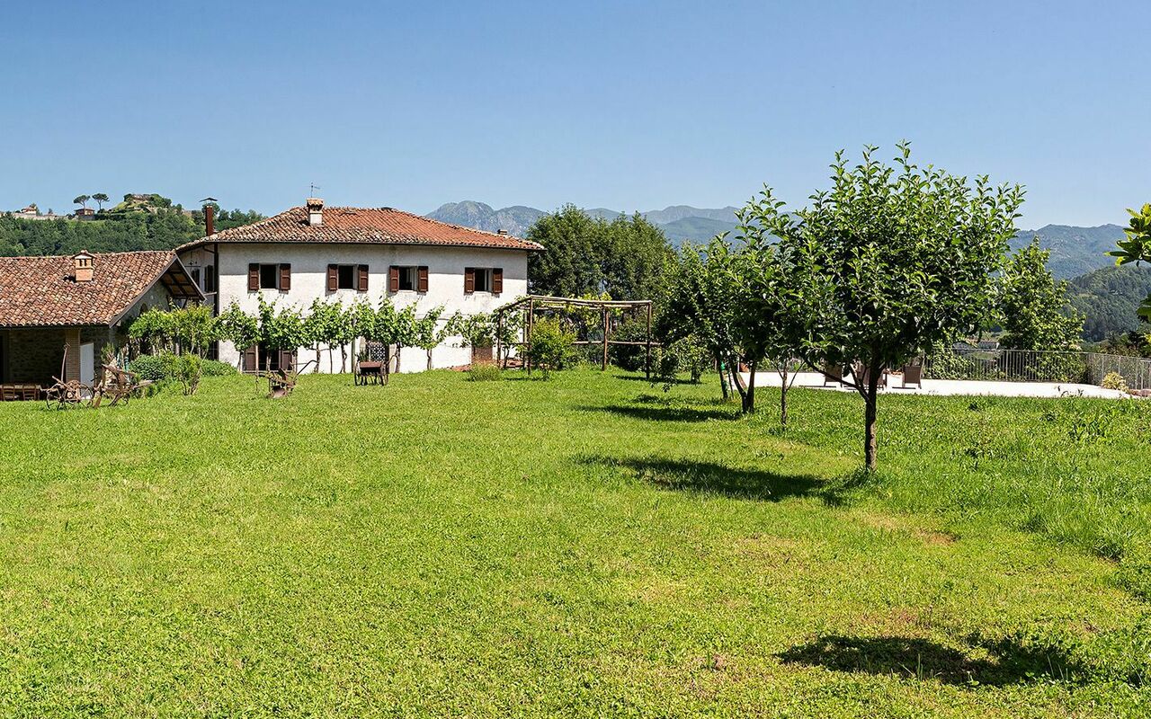 Villa Il Nido: Tuin